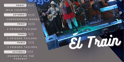 El Train @ 3 Friends Taylors - After Christmas Fun