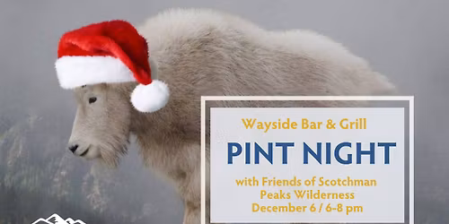 Pint Night at the Wayside