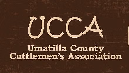 UCCA Desert Classic Steer & Heifer Show