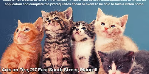 Paint with Kittens: Arts on Fire Fundraiser for Kat & Kritters