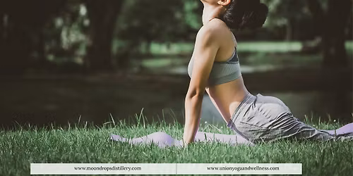 Shine & Stretch