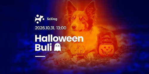 HALLOWEEN BULI \u00c9S J\u00d3T\u00c9KONYS\u00c1GI KUTYARUHA V\u00c1S\u00c1R