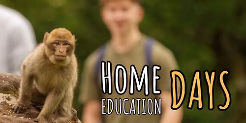 Home Education Days at Monkey Forest \ud83d\udc35\u26a1\ufe0f\ud83e\udde0