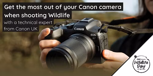 Get the most out of your Canon camera when shooting Wildlife