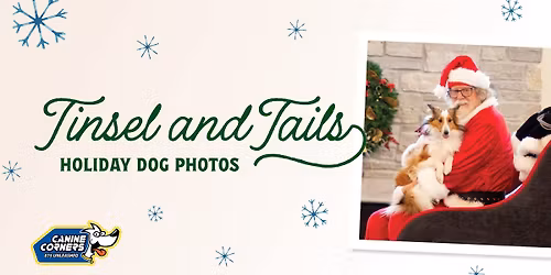 Tinsel and Tails Holiday Dog Photos