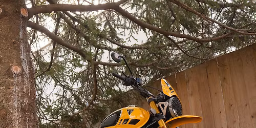 Triumph Motorcycle Modern Classic Demo Event