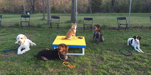 MidMo Waggers Dog Show at Missouri River Regional Library