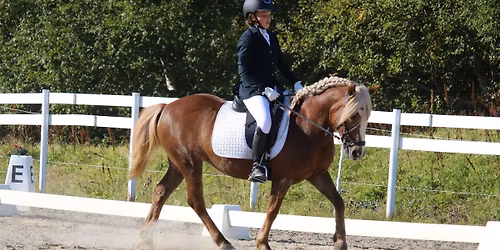 Rekrutteringsstevne i dressur, 21-22 mars 2026