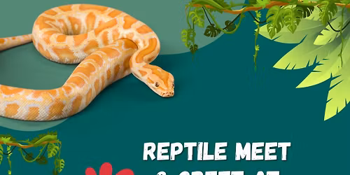 Reptile Meet & Greet at Chick-fil-A Bradley Park
