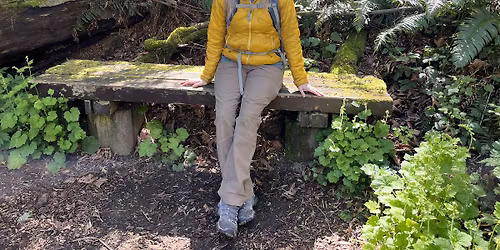 Nourishing Nettle - Plant Connections