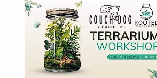 Terrarium Workshop at Couch Dog Brewing Company