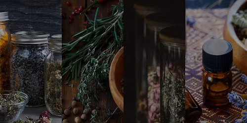 Herbalism for Beginners Workshop