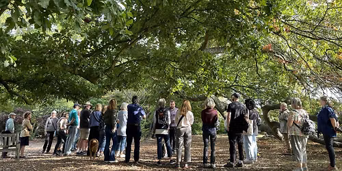 Guided Tree Walk:  Tree Habitats &  Ecology