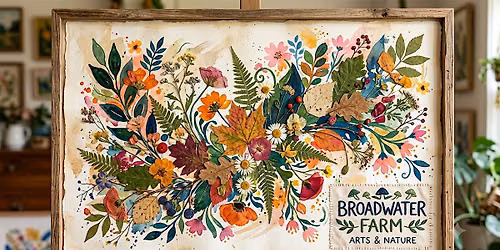 Age-Friendly Walk Around Broadwater Farm and Crafting