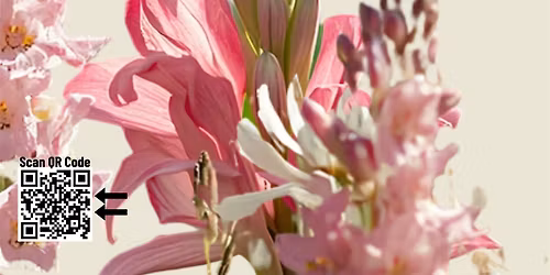 Bond and Bloom with McKenna