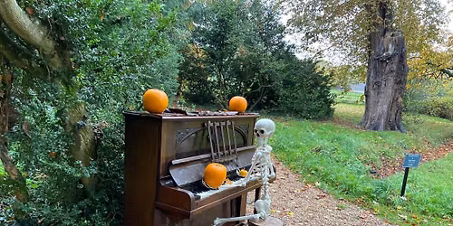 Enchanted Kelmarsh