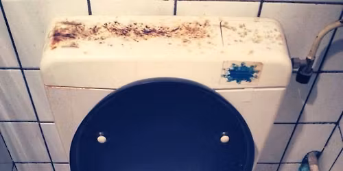 Elegast is Back Party