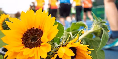 14. Laufend gegen Krebs - Leipzig