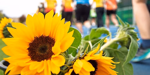 14. Laufend gegen Krebs - Leipzig - 16.09.2026
