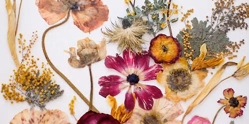 Coffee & Creativity - A Pressed Botanical Workshop