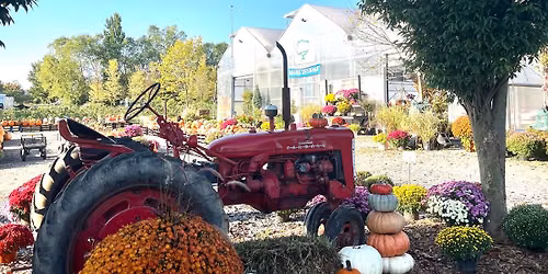 Fall Fun Trick or Treat on the Farm!