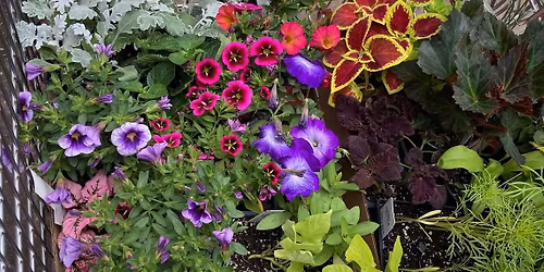 2026 Friends School Plant Sale