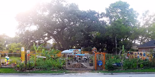 Yoga in the Garden