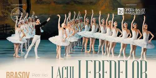 LA CEREREA PUBLICULUI BRA\u0218OVEAN -LACUL LEBEDELOR 