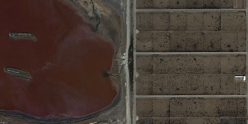 From Ecocide to Repair?