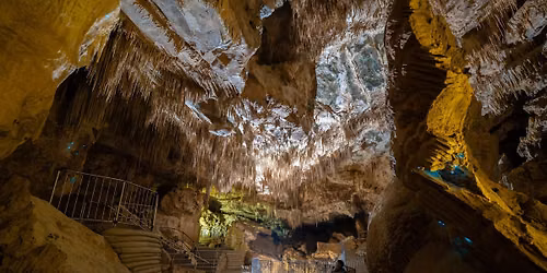 Cave Concert in the Milky Way Glowworm Cave: Summer 26\/27 Series