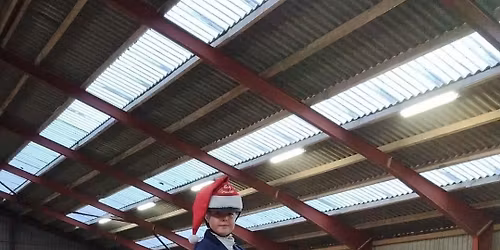 SRKS\u2019 Julest\u00e6vne