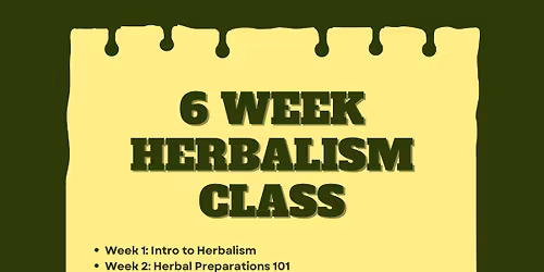 6 Week Herbalism Class at B Infused Wellness Space 2