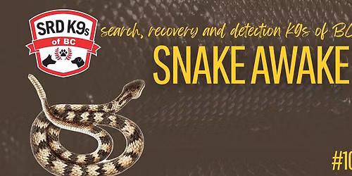 Snake Awake 