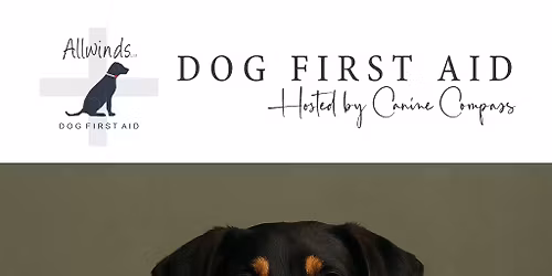 \ud83e\ude79 Canine First Aid Course \u2013 Exeter