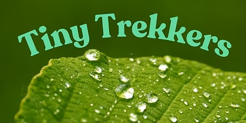 Tiny Trekkers: Leaf Zoo