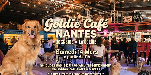 Goldie Caf\u00e9s 2026 \/ Goldens Retrievers
