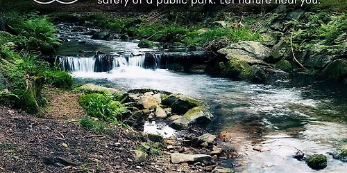 Nature Therapy \u2013 The Rooted Path @ Lakeside Nature Center