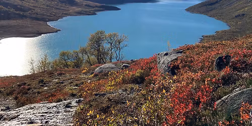 Hausthelgene 2026\ud83c\udf41\ud83d\ude0a