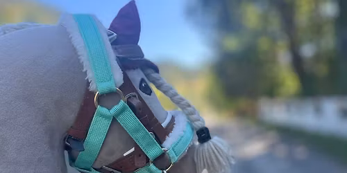 Sprang kjeppheststevne!\u2728\ud83d\udc0e