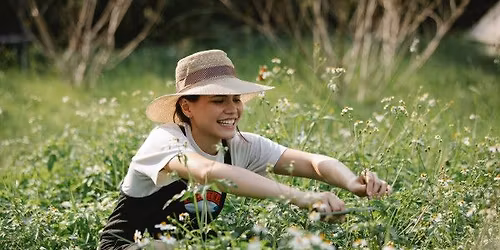 Corso base - Le erbe spontanee in cucina \ud83c\udf3f