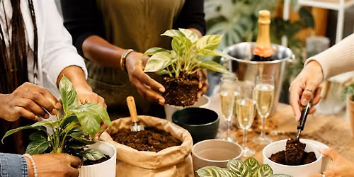 Plants & Prosecco: A Repotting Experience