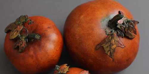 Pumpkin Gourds - September 12