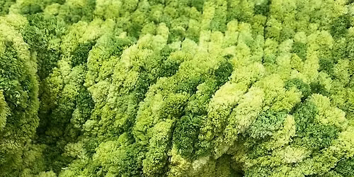 Grinch-y Cozy Hand Knit Blanket~11\/22 @ 4pm at the MAKERY