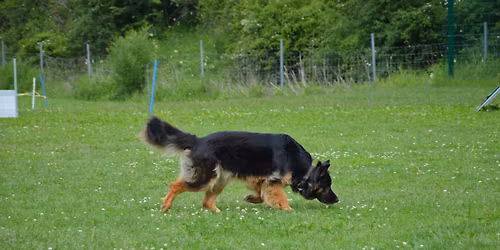 UO & St\u00f6ber Workshop mit Martin Kruiss & Nadine M\u00f6ller