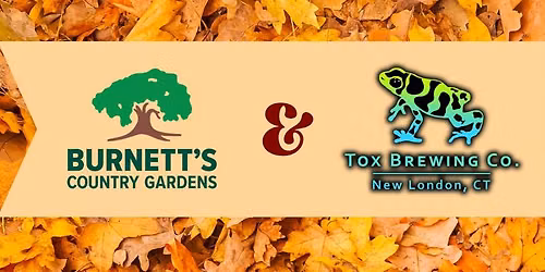 Succulent Pumpkin Class @ Tox Brewing Co.