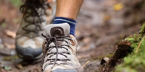 New Year's Day Hike 2026