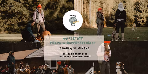 PRACA W ROZPROSZENIACH Z PAUL\u0104 GUMI\u0143SK\u0104!