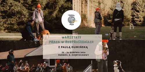 PRACA W ROZPROSZENIACH Z PAUL\u0104 GUMI\u0143SK\u0104!