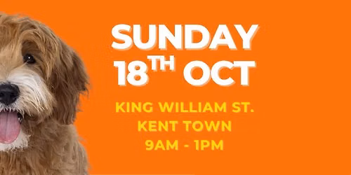 DOGCITY OPEN DAY