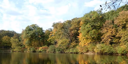 Rewiring for Calm: A Guided Nature Walk to Reset Your Nervous System